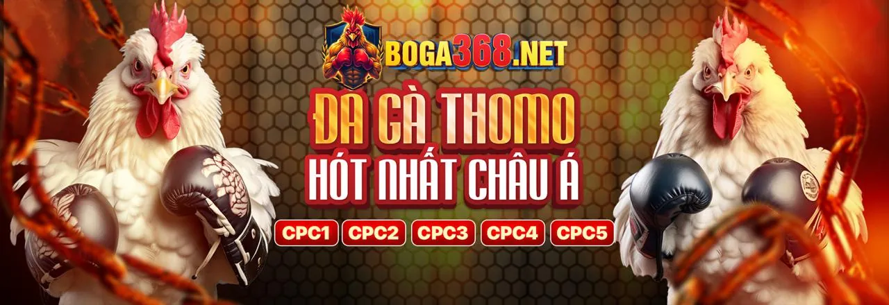 Hình ảnh hỗ trợ khách hàng 24/7 của 55cc Win