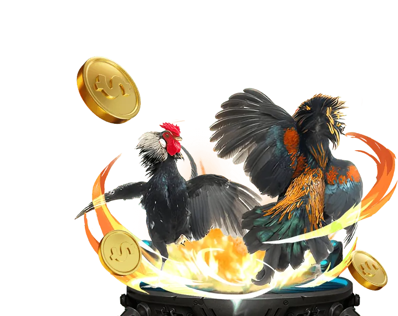 Đăng ký tài khoản 55cc win