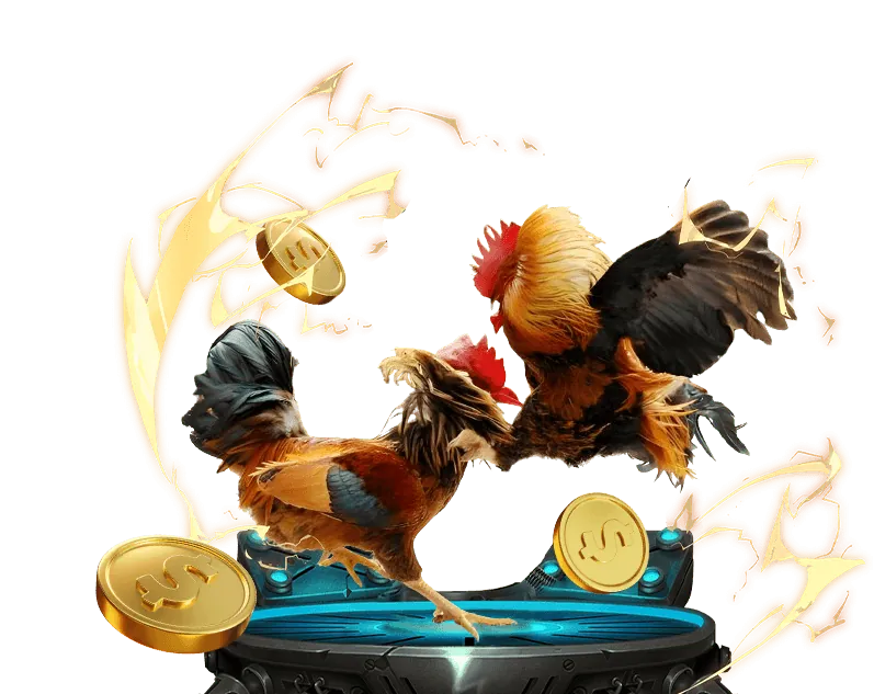 Cá cược thể thao 55cc win